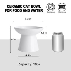 KITCHENLESTAR ceramic dish closeup highlights non-absorbent, easy-to-clean surface.