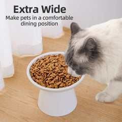 KITCHENLESTAR whisker-friendly design supports comfortable feeding for big cats.