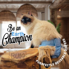 Kitty BumBums tail-friendly design enables natural movement during wear