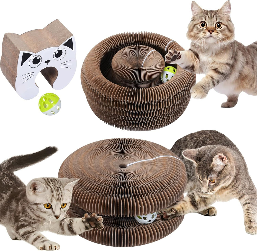 Kitty Curlz magic organ cat toy with built-in ball for interactive play