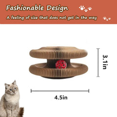 Kitty Kurlz bell ball in play highlights engaging jingling for interactive chasing.