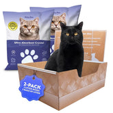 Kitty Poo Club leakproof disposable box with 2-pack design keeps floors dry.