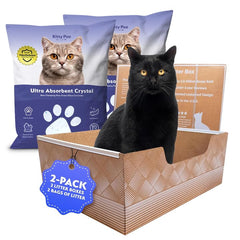 Kitty Poo Club leakproof disposable box with 2-pack design keeps floors dry.