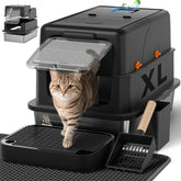 KittyLetto stainless-steel litter box with lid for privacy and odor control.