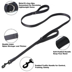 Kitys Fatch 5ft training leash demonstrating professional pairing for controlled walks