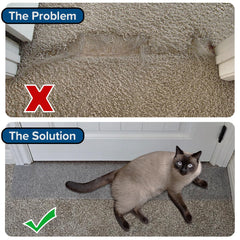 KittySmart Carpet Scratch Stopper pre-cut for quick, tool-free installation