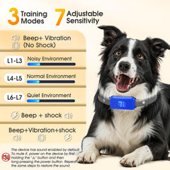 KJKZO bark collar dual-sensor setup demonstrates reliable detection in action.