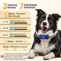 KJKZO training modes display shows customizable corrections for tailored dog training