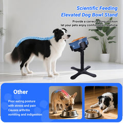 KMXASP height-adjustable dog bowl stand offers three tilt heights for growing dogs.
