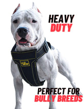 KNK heavy duty dog harness overview highlights durable straps for strong pullers.