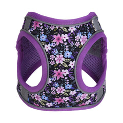 KocaPlye Soft-mesh padded harness offers skin-friendly comfort for all-season walks