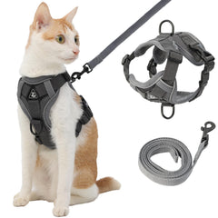 Kodervo arnés para gato con reflejos frontales para visibilidad nocturna.