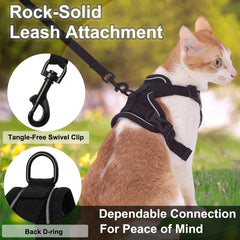 Kodervo cat-harness ergonomic-360-design demonstrates comfortable all-around fit.