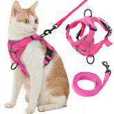 Kodervo cat harness vest-style-escape-proof keeps adventurous cats secure during outdoor exploration.
