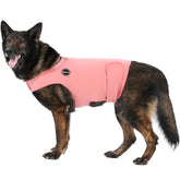 Kodervo dog anxiety jacket closeup velcro showing quiet-fastening