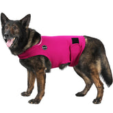 Kodervo Dog Anxiety Jacket front view Rose promotes calming wrap