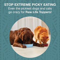 KOHA Raw Life topper served on meal bowl entices picky pets