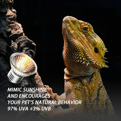 KOHEOPT desert terrarium Bearded Dragon scene highlights sun-like warmth.