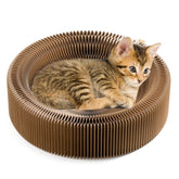 Koimsec collapsible cat scratcher lounge bed round design for lounging and scratching