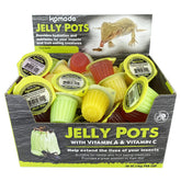 Komodo Jelly Pots mixed fruit display provides convenient hydration and nutrition for fruit-eating reptiles.