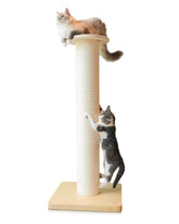 KONELCARE 50inch tall cat scratching post assembled for stable play with big cats.