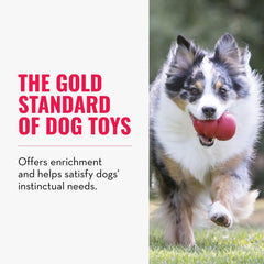 KONG Classic stuffed dog toy interior shown for stuffing with treats to extend mealtime fun.