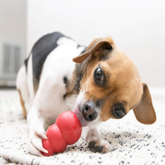 KONG Classic Stuffable interior demonstrates treat-stuffing for extended play