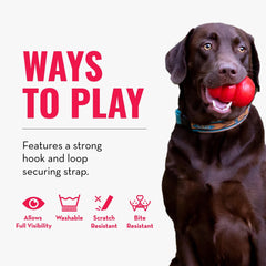 KONG Cloud Collar shown with machine washing for easy care.