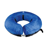 KONG Cloud Collar on a dog shows plush inflatable comfort for recovery.
