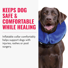 KONG Cloud Collar close-up highlights soft fabric and tear resistance.