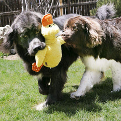 KONG Comfort Jumbo Duck XL beak stimulates squeak driven play