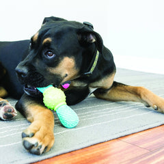 KONG CoreStrength Bow Tie Bone textured body close-up shows tactile surface