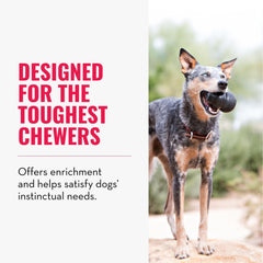 KONG Extreme hollow interior shown for treat stuffing and extended play