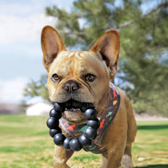 KONG Extreme Ring texture close-up supports satisfying chewing instincts during play.