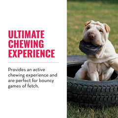 KONG Extreme Tires inner-wall design demonstrates snack-stuffed play.