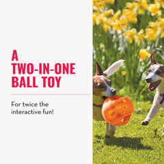 KONG Jumbler Ball interior-tennis-ball feature boosts chase and retrieval excitement.