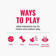 KONG Maxx Bone MD indoor-outdoor scene highlighting resilience.