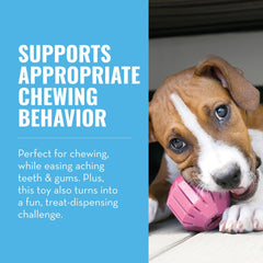 KONG Puppy Activity Ball center treat compartment invites interactive play and rewards.