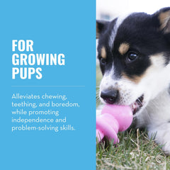 KONG Puppy Binkie soft rubber close-up shows durable material for chewing.