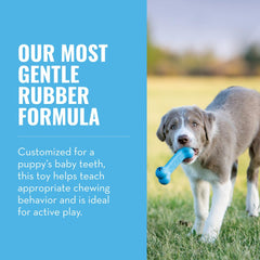 KONG Puppy Goodie Bone blue stuffed-snacks showing enrichment.