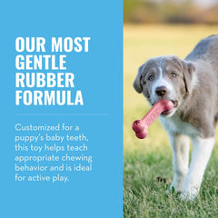 KONG Puppy Goodie Bone pink stuffed with treats demonstrating enrichment for small dogs.