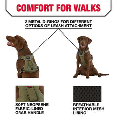 KONG reflective piping and sturdy D-rings boost visibility and leash versatility.