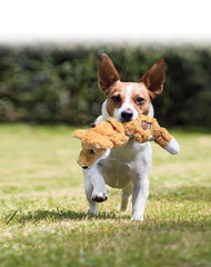 KONG Scrunch Knots Squirrel squeaker feature provides interactive sound during play.