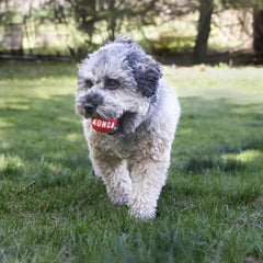 KONG Signature Balls close-up texture highlights durable rubber for chewers