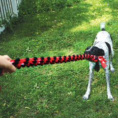 KONG Signature Rope 22' Double Tug shows the double rings during interactive play.