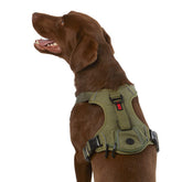 KONG Ultra Durable Waste Bag Harness front view shows rugged control for outdoor walks.