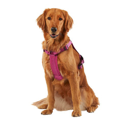 KONG Ultra Durable Waste Bag Harness collapsible handle enables quick control on trails