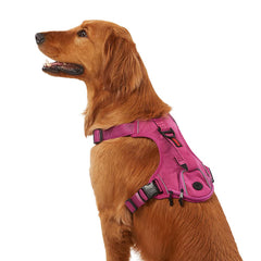 KONG Ultra Durable Waste Bag Harness front view for secure, comfortable outdoor walks