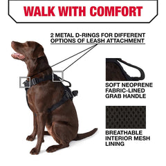 KONG Waste Bag Harness with reflective piping for safer evening walks.