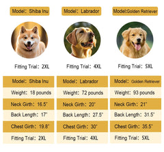 KOOGAL waterproof dog raincoat back pocket stores small items on trails.